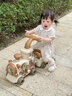 颯望德國嬰兒學(xué)步車(chē)小火車(chē)手推車(chē)玩具0-1-3-6歲兒童寶寶生日生日禮物 【5合1綠色】豪華版火車(chē)+學(xué)步座椅禮盒 防o型腿適合的車(chē)新生兒見(jiàn)面禮實(shí)用男女孩早教周歲禮物 曬單實(shí)拍圖