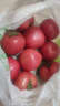 京鮮生 山東普羅旺斯西紅柿 凈重3斤 單果125g起 沙瓢番茄 源頭直發(fā) 曬單實(shí)拍圖