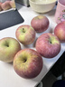 新疆冰糖心蘋(píng)果脆甜多汁紅富士蘋(píng)果丑蘋(píng)果當季新鮮水果 小果65-70mm 2斤【含箱】 曬單實(shí)拍圖