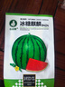 農點(diǎn)贊西瓜種子大全8424麒麟冰糖美都甜王懶漢黑美人黑皮無(wú)籽2K小西瓜籽 [爆甜]8424麒麟西瓜種子50粒*1袋 曬單實(shí)拍圖