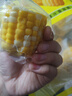 京地達云南水果玉米段 凈重4斤單果100g+ 低脂即食低脂甜玉米 源頭直發(fā) 曬單實(shí)拍圖