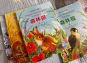 森林報 科普彩繪注音版套裝全4冊 春夏秋冬四季自然百科兒童文學(xué)小學(xué)生一二三四五六年級課外閱讀書(shū)籍 一升二銜接 小升初銜接  曬單實(shí)拍圖