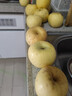 京鮮生山東奶油富士蘋(píng)果凈重5斤單果170g新鮮水果 源頭直發(fā)包郵 曬單實(shí)拍圖