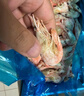 美加佳加拿大 大號熟凍北極甜蝦腹籽凈重3斤 規格80/100 海鮮水產(chǎn) 曬單實(shí)拍圖