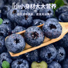 云南高山藍莓王鮮果當季新鮮現摘花香怡顆甜藍莓禮盒孕婦水果 品質(zhì)中果【單果15mm+】 2盒小份裝【70g/盒】 曬單實(shí)拍圖