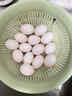 趣嘗鮮名特優(yōu)新鴿子蛋 30枚禮盒 凈重600g 雜糧喂養新鮮鴿子蛋 源頭直發(fā) 曬單實(shí)拍圖