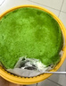 KINHISA抹茶奧奧碎千層蛋糕6英寸420g 動(dòng)物奶油零食甜品生日蛋糕點(diǎn)下午茶 曬單實(shí)拍圖