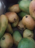 海南小臺農芒果10斤新鮮小臺芒熱帶水果應當季現摘甜心芒【秒殺】 單果60g+（帶箱子2斤）凈重1.5-1.8斤 曬單實(shí)拍圖