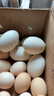 保衛蛋蛋山東鵝蛋12枚巨無(wú)霸孕婦寶寶放心吃年貨禮盒裝2.6斤生鮮 源頭直發(fā) 曬單實(shí)拍圖