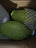 金煌芒新鮮進(jìn)口水果廣西當季熱帶大青皮芒果整箱批發(fā)送禮品物盒 5斤裝【很劃算】?jì)糁?.5斤 甄選特級果【單果250g+】 曬單實(shí)拍圖
