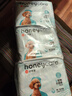 HONEYCARE好命家 狗狗紙尿褲公狗尿不濕安全褲M(mǎn)適用體重16-33kg/12片3包裝  曬單實(shí)拍圖