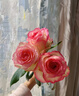 花間町玫瑰花鮮花A級 艾莎10枝】云南基地插花卉鮮切花單頭玫瑰源頭直發(fā) 曬單實(shí)拍圖