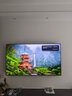 海信電視小墨E5Q Pro 75英寸 768分區U+MiniLED 信芯芯片抗反光防眩光墨晶屏國家補貼世界杯75E5Q-PRO 曬單實(shí)拍圖