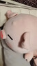 名創(chuàng  )優(yōu)品（MINISO）小豬B-BO彈力超柔趴姿公仔毛絨玩具玩偶抱枕靠枕娃娃生日禮物女 曬單實(shí)拍圖