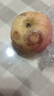 陜西延安洛川紅富士10斤裝好蘋(píng)果新鮮水果脆甜應季水果時(shí)令生鮮 帶箱9-10斤 大果 曬單實(shí)拍圖
