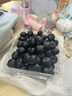 田良季云南藍莓【JD多地次日達】花香藍莓超大藍莓新鮮水果年貨送禮禮盒 精選大果丨單果18mm+【80%人選擇】 【較劃算】4盒裝丨單盒凈重100-125g 曬單實(shí)拍圖