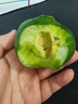 （霖錦）超便宜山東當季綠寶甜瓜單果250g+山東沈陽(yáng)倉隨機發(fā) 帶箱約5斤，凈果4.5斤 曬單實(shí)拍圖