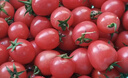 京鮮生山東紅色圣女果凈重4.5斤 小番茄西紅柿水果蔬菜源頭直發(fā)包郵 曬單實(shí)拍圖