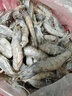 京東超市海外直采厄瓜多爾白蝦鹽凍凈重4斤 60-80只/盒 自營(yíng) 曬單實(shí)拍圖