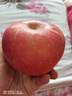 京鮮生 山東煙臺紅富士蘋(píng)果 5斤裝單果80-85mm 生鮮水果 源頭直發(fā) 包郵 曬單實(shí)拍圖