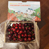 京鮮生大連美早櫻桃車(chē)厘子 超級巨無(wú)霸4J級 2斤禮盒裝 單果15g+生鮮水果 曬單實(shí)拍圖