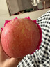 京鮮生 煙臺紅富士蘋(píng)果 凈重10斤 單果220g以上 禮盒裝 生鮮水果 曬單實(shí)拍圖