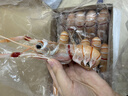 深?lèi)倓?新西蘭鰲蝦scampi斯干比蝦1kg 特大蝦南極蝦深海蝦甜蝦進(jìn)口生鮮 2號（11-15只） 1kg(凈重) 曬單實(shí)拍圖