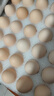 京鮮生 無(wú)抗保潔鮮雞蛋30枚/盒 健康輕食 禮盒送禮 1.5kg/盒 源頭直發(fā) 曬單實(shí)拍圖