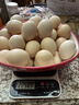 九華糧品散養土雞蛋40枚 凈重3斤  鮮雞蛋 林區散養 京東自營(yíng) 曬單實(shí)拍圖