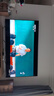 海信電視小墨E5Q Pro 100吋 1248分區U+MiniLED 信芯芯片極黑極透黑曜屏Pro國家補貼世界杯100E5Q-PRO 曬單實(shí)拍圖