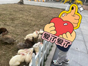 papa爬爬夏季兒童褲子男女寶寶拼接網(wǎng)眼防曬長(zhǎng)褲戶外運(yùn)動(dòng) 灰色 110cm 曬單實(shí)拍圖