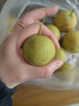特級鞍山南果梨禮盒包裝新鮮水果酒香南果產(chǎn)地直發(fā)單果15g 笨南果梨全黃紙箱裝 帶箱2斤小果凈重約1.7斤單果15g 曬單實(shí)拍圖
