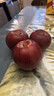 顧果鮮甘肅天水花牛蘋(píng)果當季新鮮蛇紅果寶寶老人輔食脆粉面刮泥蘋(píng)果禮盒 5斤裝凈重4.5斤 大果【單果80-85mm】 曬單實(shí)拍圖
