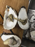 蜀皇 乳山生蠔鮮活大海鮮10斤凈重蠔王(10-18只)源頭直發(fā)包 郵  曬單實(shí)拍圖