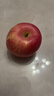 高紅富士蘋(píng)果脆甜冰糖心蘋(píng)果紅富士 1枚凈重0.3斤 65mm-75mm 曬單實(shí)拍圖