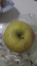 京覓四川大涼山丑蘋(píng)果 凈4.5斤 單果70mm+新鮮水果冰糖心蘋(píng)果源頭直發(fā) 曬單實(shí)拍圖