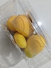 即食小臺農芒果500g(單果70g起) 曬單實(shí)拍圖