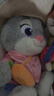 迪士尼（Disney）瘋狂動(dòng)物城朱迪兔子玩偶毛絨玩具隨心造型公仔禮盒女孩生日禮物女 曬單實(shí)拍圖