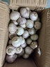 云南紫皮獨頭蒜干蒜果經(jīng)3.0mm+ 山東大果直徑3.0左右凈重2.7斤 曬單實(shí)拍圖