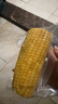 京鮮生&蒙之寶 MON BEAU 內蒙有機甜糯玉米200g+-10g x8棒1.6kg源頭直發(fā) 曬單實(shí)拍圖