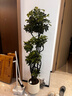 愛(ài)優(yōu)尚特級造型鴨腳木客廳大盆栽八方來(lái)財室內落地大型綠植高端源頭直發(fā) 曬單實(shí)拍圖