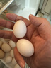 硒全食美 富硒新鮮鴿蛋  孕婦兒童寶寶鴿子蛋 20枚 366g 曬單實(shí)拍圖