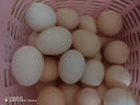 出口品質(zhì)  可生食無(wú)抗鮮雞蛋 現撿現發(fā) 破損包賠（50克/枚） 出口品質(zhì)雞蛋30枚裝 曬單實(shí)拍圖