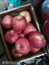 京鮮生 洛川蘋(píng)果陜西紅富士?jì)糁?.5斤80-85mm單果200g+新鮮水果源頭直發(fā) 曬單實(shí)拍圖