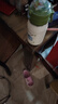 babycare兒童保溫杯嬰兒寶寶學(xué)飲杯吸管水杯水壺不銹鋼300ml-新舊款混發(fā) 曬單實(shí)拍圖