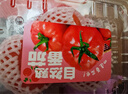 【水果菜】自然熟西紅柿約500g 曬單實(shí)拍圖