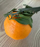 京地達四川春見(jiàn)耙耙柑凈重8斤特大果15-18粒柑橘桔子水果源頭直發(fā) 曬單實(shí)拍圖