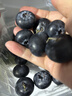 云南高山大藍莓500g 18mm 曬單實(shí)拍圖
