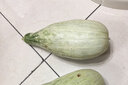 京鮮生山東頭茬羊角蜜甜瓜 單果300g起 凈重3斤 水果源頭直發(fā)包郵 曬單實(shí)拍圖