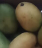 海南小臺農芒果10斤新鮮小臺芒熱帶水果應當季現摘甜心芒【秒殺】 單果60g+（帶箱子2斤）凈重1.5-1.8斤 曬單實(shí)拍圖